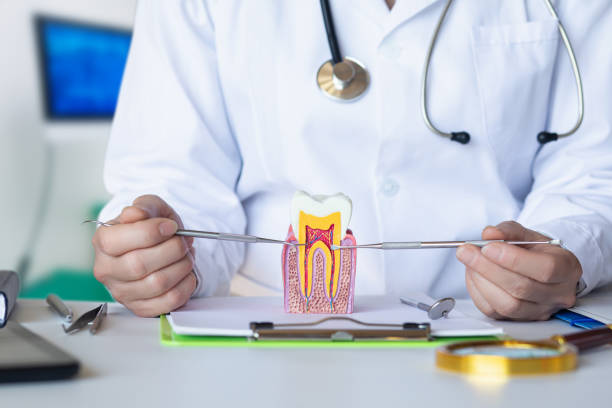 Best Weekend Emergency Dentist in Forreston, IL